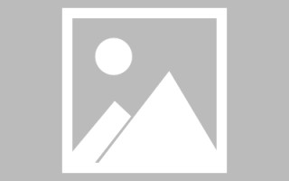 泰兴网页设计英文默认字体（网页设置英文转换中文）